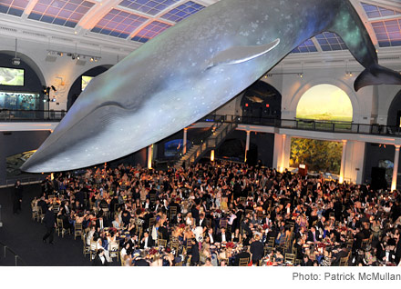 American Museum of Natural History Spring Dance