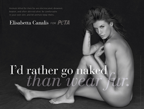 elisabetta canalis nude for peta